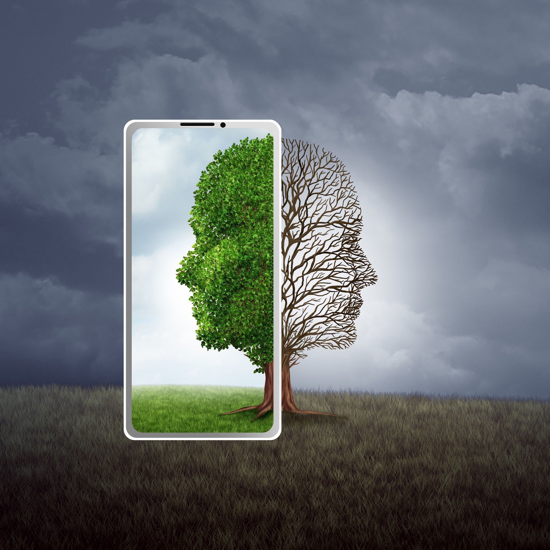 Social Media Mood Disorders
